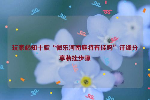 玩家必知十款“微乐河南麻将有挂吗”详细分享装挂步骤