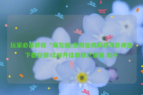 玩家必备教程“麻友圈2贵阳捉鸡麻将外卦神器下载安装!详细开挂教程已更新-知乎