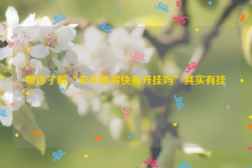 带你了解“牵手跑得快有开挂吗”其实有挂