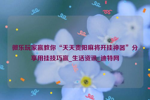 微乐玩家赢教你“天天贵阳麻将开挂神器”分享用挂技巧赢_生活资讯_迪特网