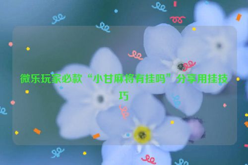 微乐玩家必款“小甘麻将有挂吗”分享用挂技巧