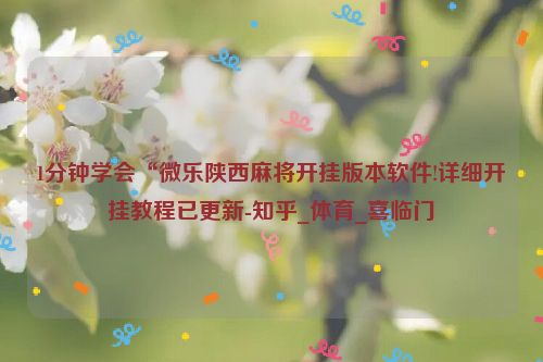 1分钟学会“微乐陕西麻将开挂版本软件!详细开挂教程已更新-知乎_体育_喜临门