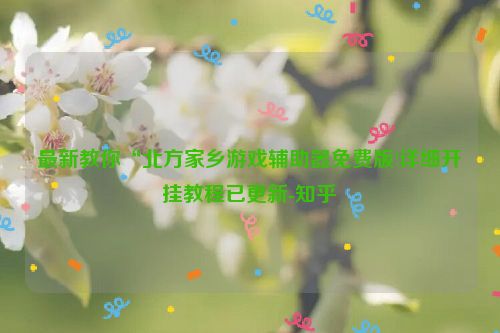 最新教你“北方家乡游戏辅助器免费版!详细开挂教程已更新-知乎