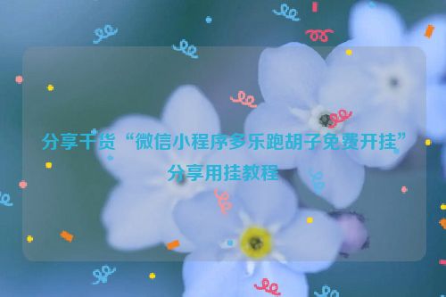 分享干货“微信小程序多乐跑胡子免费开挂”分享用挂教程