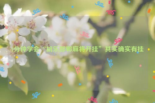 1分钟学会“胡乐邯郸麻将开挂”其实确实有挂