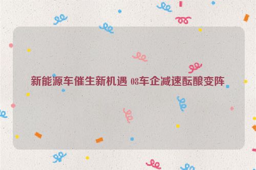新能源车催生新机遇 08车企减速酝酿变阵