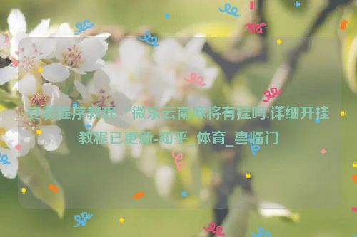安装程序教程“微乐云南麻将有挂吗!详细开挂教程已更新-知乎_体育_喜临门