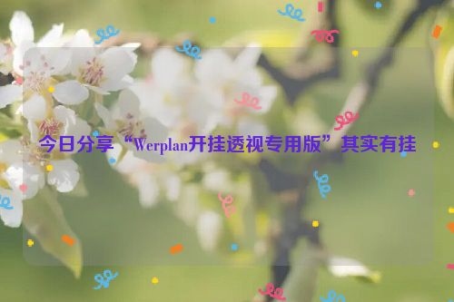 今日分享“Werplan开挂透视专用版”其实有挂