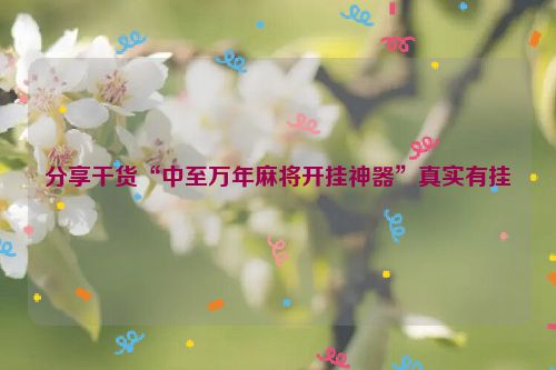 分享干货“中至万年麻将开挂神器”真实有挂