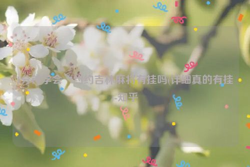 1分钟学会“约约吉林麻将有挂吗(详细真的有挂)-知乎
