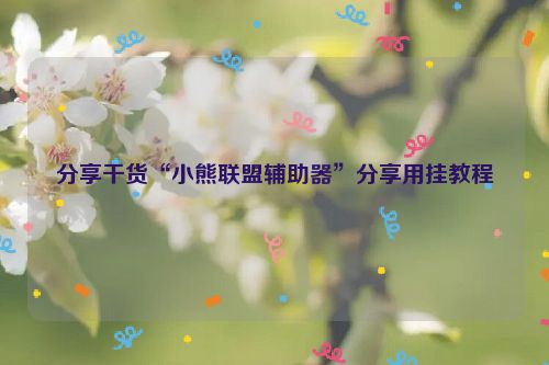 分享干货“小熊联盟辅助器”分享用挂教程