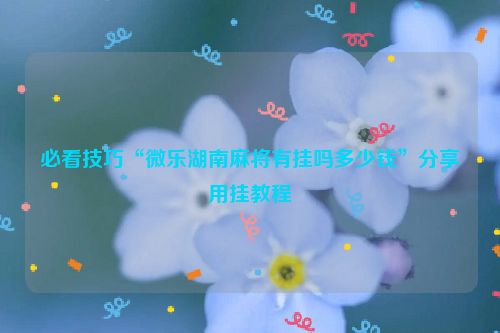必看技巧“微乐湖南麻将有挂吗多少钱”分享用挂教程