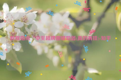 教程指点“中至赣牌圈辅助器(真的有挂)-知乎