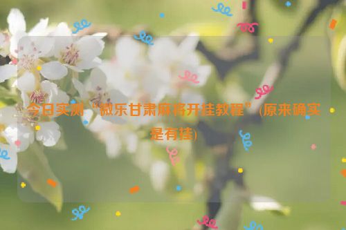 今日实测“微乐甘肃麻将开挂教程”(原来确实是有挂)