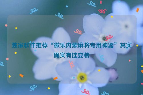 独家软件推荐“微乐内蒙麻将专用神器”其实确实有挂安装