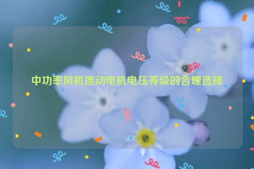 中功率风机拖动电机电压等级的合理选择