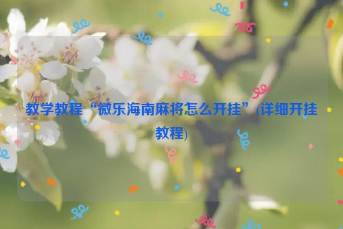 教学教程“微乐海南麻将怎么开挂”(详细开挂教程)