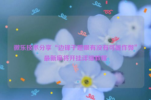 微乐技术分享“边锋干瞪眼有没有可能作弊”最新麻将开挂详细教程