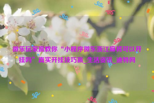 微乐玩家赢教你“小程序微乐浙江麻将可以开挂吗”真实开挂技巧赢_生活资讯_迪特网