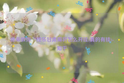 我来教你“桃乐甘肃麻将怎么开挂(真的有挂)-知乎