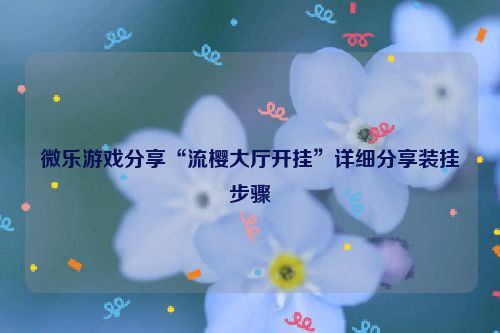 微乐游戏分享“流樱大厅开挂”详细分享装挂步骤