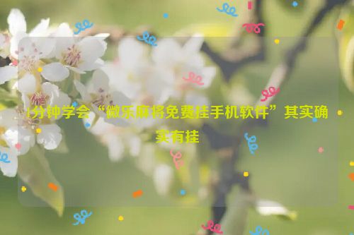 1分钟学会“微乐麻将免费挂手机软件”其实确实有挂