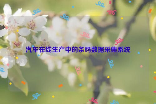 汽车在线生产中的条码数据采集系统