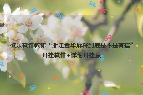 微乐软件教你“浙江金华麻将到底是不是有挂”开挂软件+详细开挂赢