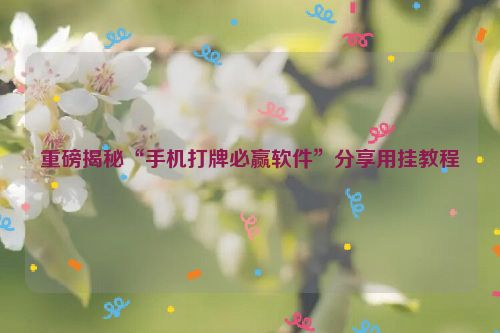 重磅揭秘“手机打牌必赢软件”分享用挂教程