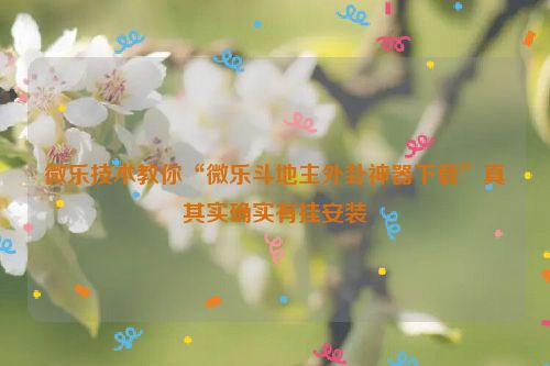 微乐技术教你“微乐斗地主外卦神器下载”真其实确实有挂安装