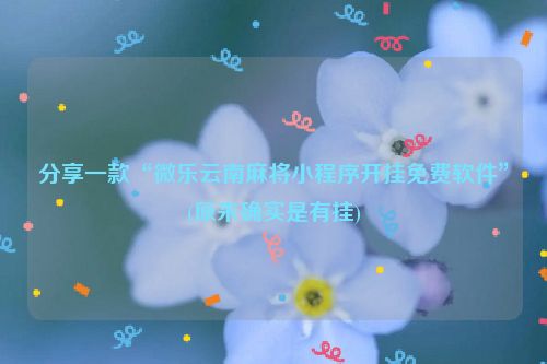 分享一款“微乐云南麻将小程序开挂免费软件”(原来确实是有挂)