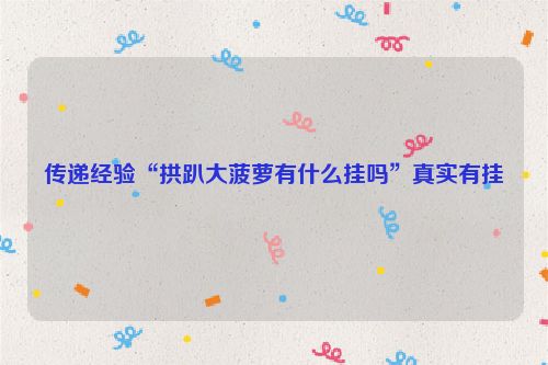 传递经验“拱趴大菠萝有什么挂吗”真实有挂