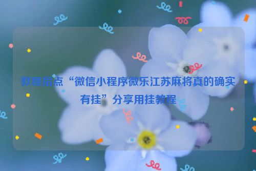 教程指点“微信小程序微乐江苏麻将真的确实有挂”分享用挂教程