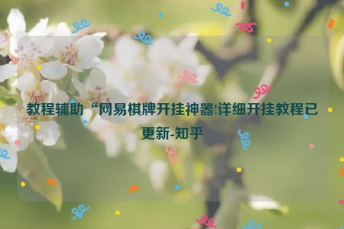 教程辅助“网易棋牌开挂神器!详细开挂教程已更新-知乎