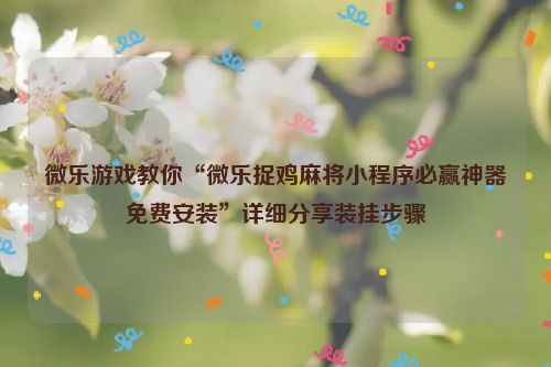 微乐游戏教你“微乐捉鸡麻将小程序必赢神器免费安装”详细分享装挂步骤
