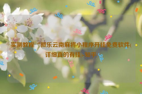 实测教程“微乐云南麻将小程序开挂免费软件(详细真的有挂)-知乎