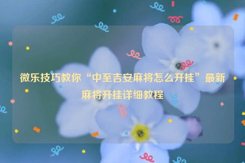 微乐技巧教你“中至吉安麻将怎么开挂”最新麻将开挂详细教程