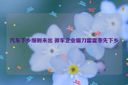 汽车下乡细则未出 微车企业磨刀霍霍率先下乡