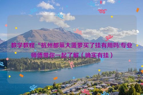 教学教程“杭州都莱大菠萝买了挂有用吗!专业师傅带你一起了解（确实有挂）