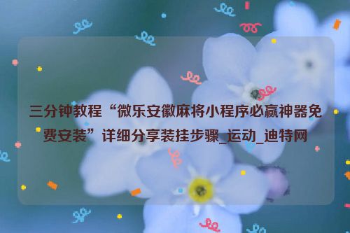 三分钟教程“微乐安徽麻将小程序必赢神器免费安装”详细分享装挂步骤_运动_迪特网