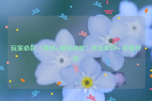 玩家必款“德州ai辅助神器”开挂软件+详细开挂