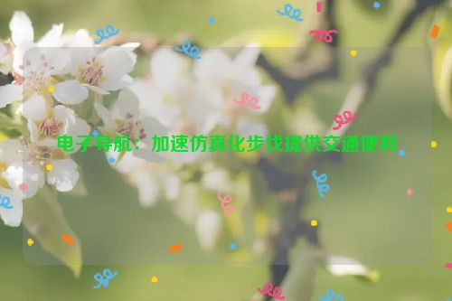 电子导航：加速仿真化步伐提供交通便利