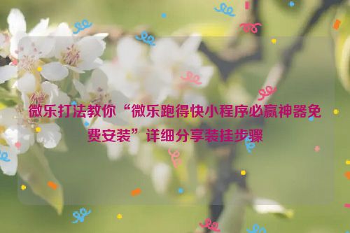 微乐打法教你“微乐跑得快小程序必赢神器免费安装”详细分享装挂步骤