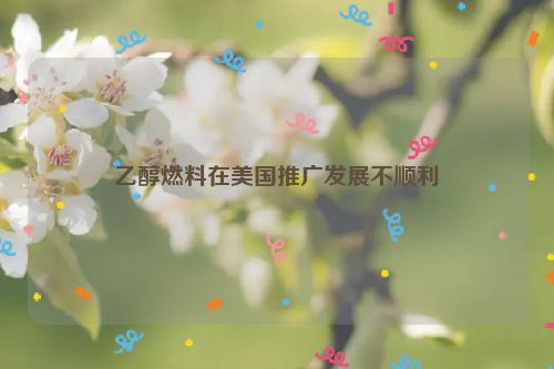 乙醇燃料在美国推广发展不顺利