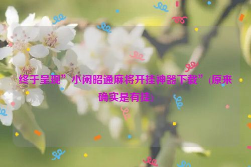 终于呈现”小闲昭通麻将开挂神器下载”(原来确实是有挂)