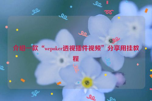 介绍一款“wepoker透视插件视频”分享用挂教程