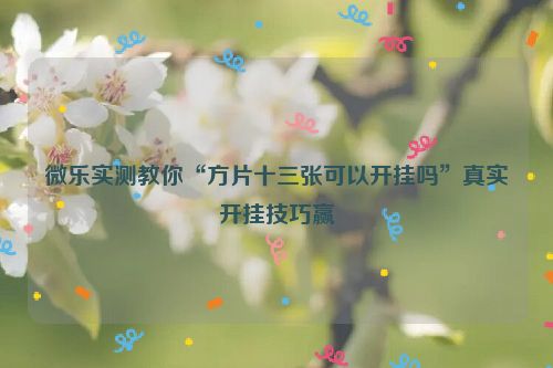 微乐实测教你“方片十三张可以开挂吗”真实开挂技巧赢