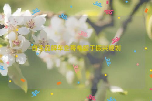 自主品牌车企寄希望于振兴规划