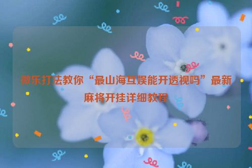 微乐打法教你“最山海互娱能开透视吗”最新麻将开挂详细教程