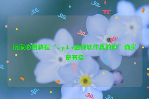 玩家必看教程“wepoker透视软件真的吗”确实是有挂